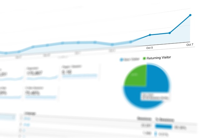 Data-Driven Decisions-Using Analytics to Grow Your Business